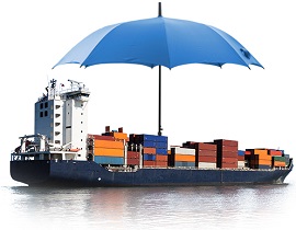 Cargo and Goods in Transit Insurance 