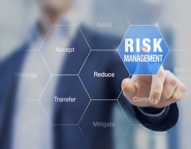 IT Risk Management 